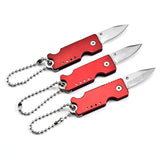 Stainless Steel Keychain Pocket Knife Mini Folding Knife Folding Knife Self-defense Folding Knife Multifunctional Tactical Knife