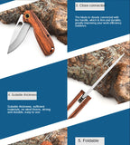 Outdoor parrot knife folding knife outdoor stainless steel folding knife portable self-defense knife