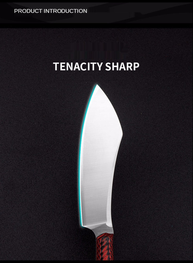 Outdoor sharp pocket knife Portable camping survival tactical saber D2 steel mini straight knife fruit knife