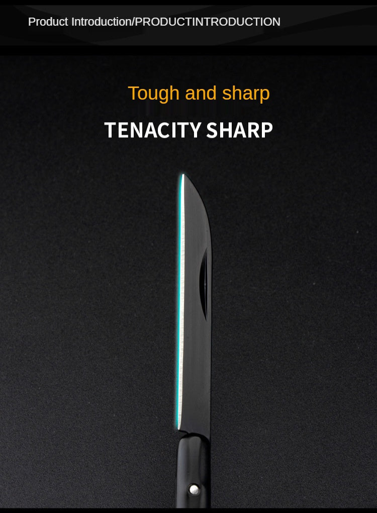Outdoor Portable Fruit Knife Stainless Steel Folding Knife Pen Knife Carry Out of the Box Folding Knife Express Knife Factory Spot