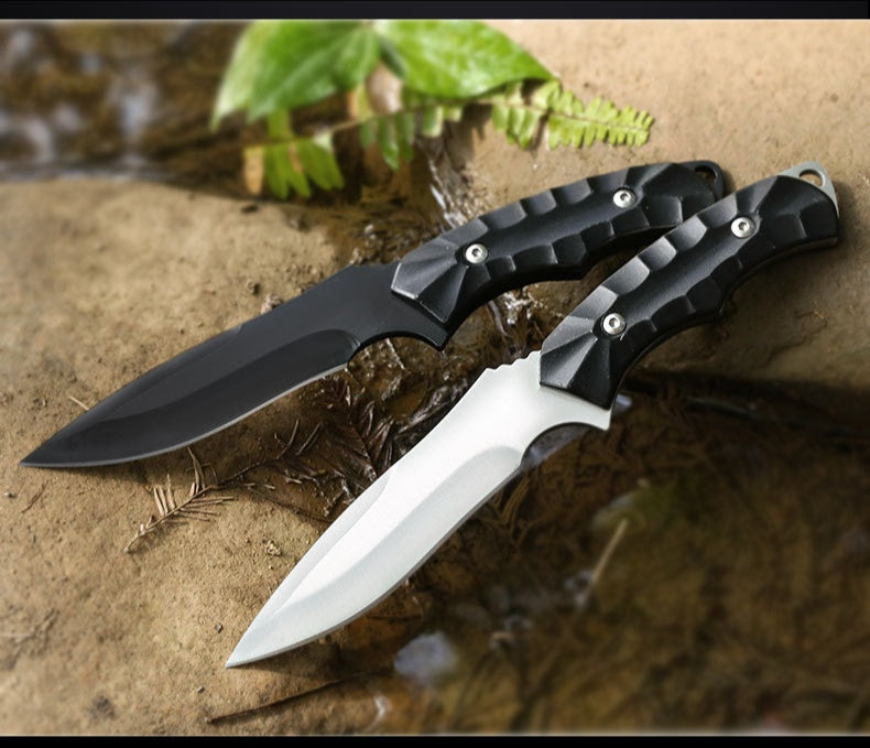 Mini stainless steel outdoor folding knife Outdoor gift ornamental small knives multi-purpose high hardness tactical folding knife