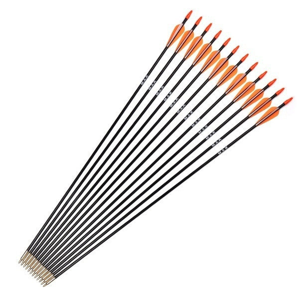2025 12pcs Elite Archery Recurve Bows and Arrows Fiberglass Arrows Shooting | POPOTR™