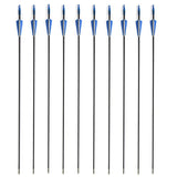 2025 10/20 Pcs Elite Archery Recurve Bows and Arrows Made By Fiberglass | POPOTR™