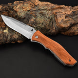 2025 Stainless Steel Knife Folding Knife Handle Wood Knife Fish | POPOTR™