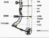 2025 Shooting Fish Bow and Arrow Set Bear Compound Bow | POPOTR™