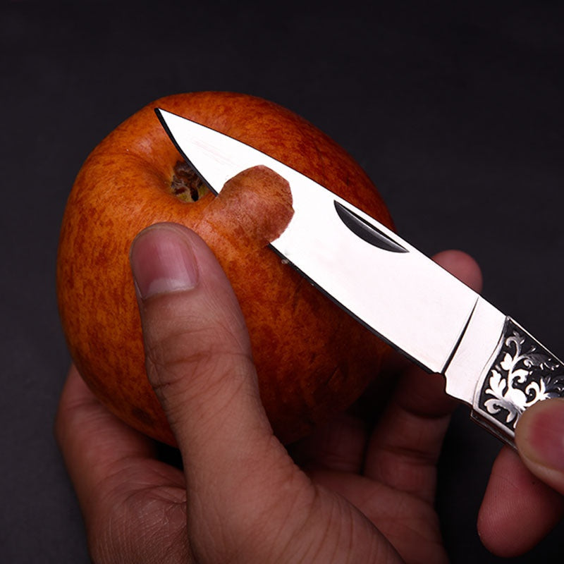 2025 Folding Knife Hunting Knife Stainless Steel Knife Fruit Knife| POPOTR™
