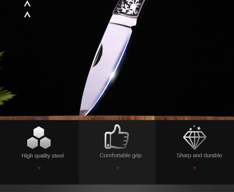 2025 Folding Knife Hunting Knife Stainless Steel Knife Fruit Knife| POPOTR™